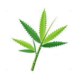 绿色植物插画叶脉图案设计素材