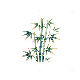 淡雅竹子插画