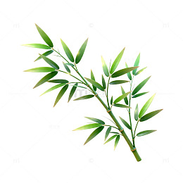 清新竹叶插画素材
