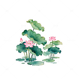水墨荷花写意国画
