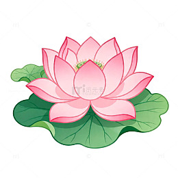 卡通荷花矢量插画素材