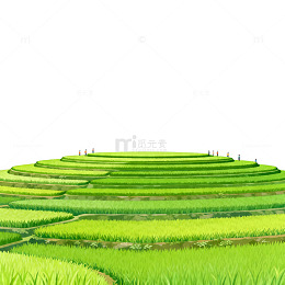 梯田风光绿色自然插画
