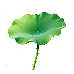 绿色荷叶矢量插画
