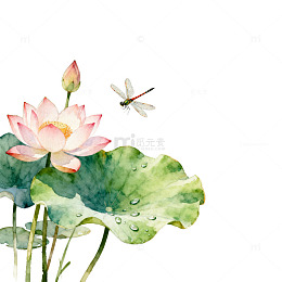 水彩荷花蜻蜓园林景观