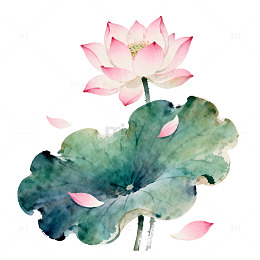 水墨荷花艺术插画