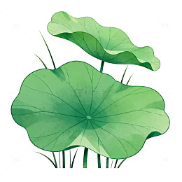 荷叶水墨插画设计元素