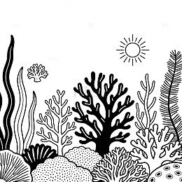 黑白线描海洋植物插画