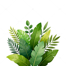 水彩绿叶植物插画素材