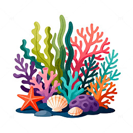 彩色珊瑚与海星插画