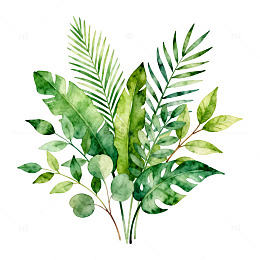 水彩绿叶植物插画素材