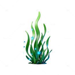 卡通风格水草插画