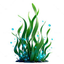 卡通水草海洋插画
