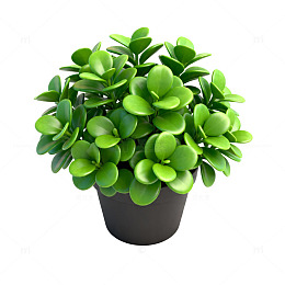 盆栽绿植装饰3D模型