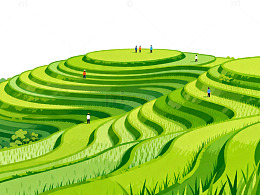梯田风光插画