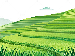 梯田风光田园插画