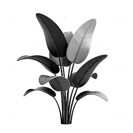黑白艺术植物插画设计元素