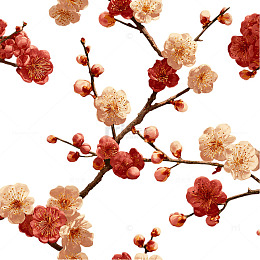 春日繁花似锦的梦境