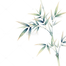 淡雅水彩竹子插画