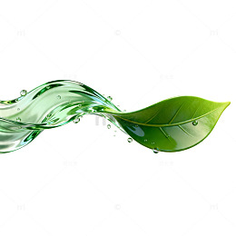 绿色水波与绿叶交融艺术图片