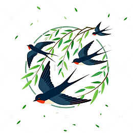燕子飞柳树枝条插画