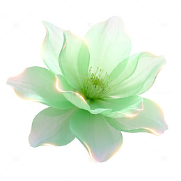 透明背景绿色花朵装饰图案