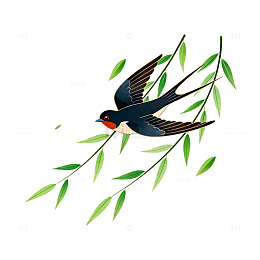 燕子柳枝插画