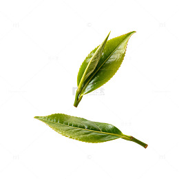 绿茶叶漂浮片