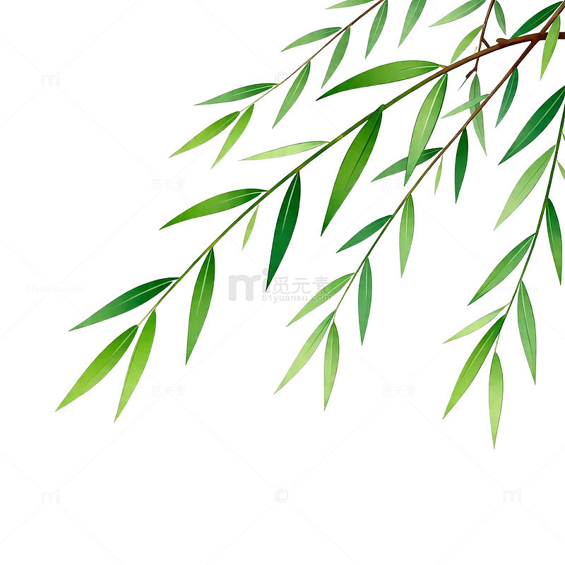 柳叶水墨画