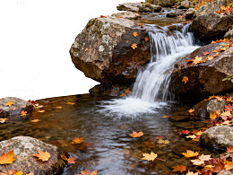 秋意溪流自然景观图片