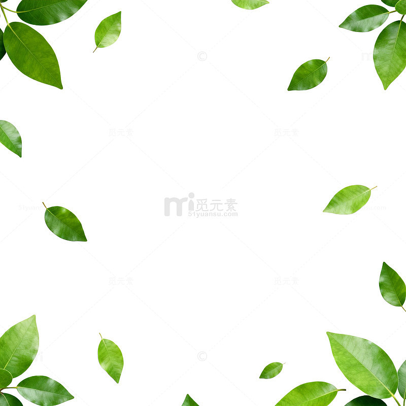 绿叶背景图清新自然