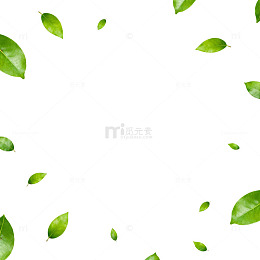 绿叶点缀背景设计素材