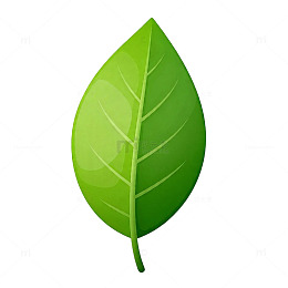 绿色叶子矢量素材