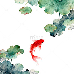 水墨荷花金鱼中国画