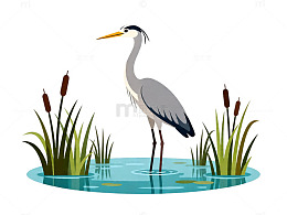 卡通鹭鸟湿地插画