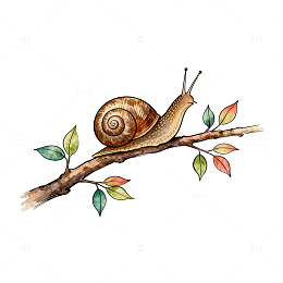 手绘蜗牛树枝插画素材