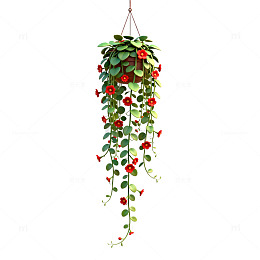 吊篮花卉插画设计素材