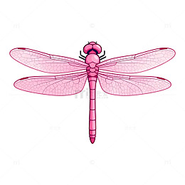 粉色蜻蜓矢量插画