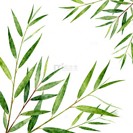 水彩绿植装饰图案设计元素