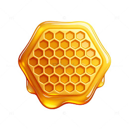 蜂蜜蜂窝状插画素材