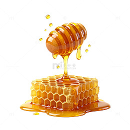 蜂蜜蜂巢流淌插画