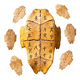 甲骨文龟甲占卜碎片