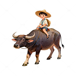 田园牧歌儿童骑牛插画