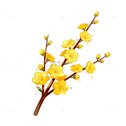 手绘迎春花插画素材
