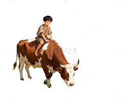 田园风光小男孩骑牛