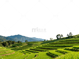 梯田风光自然风景片