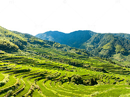 梯田风光山间绿意盎然