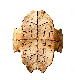 甲骨文龟甲刻字历史文物