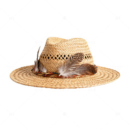 草编帽子羽毛装饰