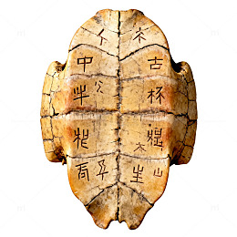 甲骨文龟甲刻字历史文物