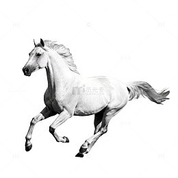 黑白骏马奔跑插画设计素材